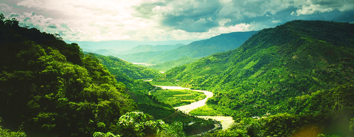 escoje_tu_destino