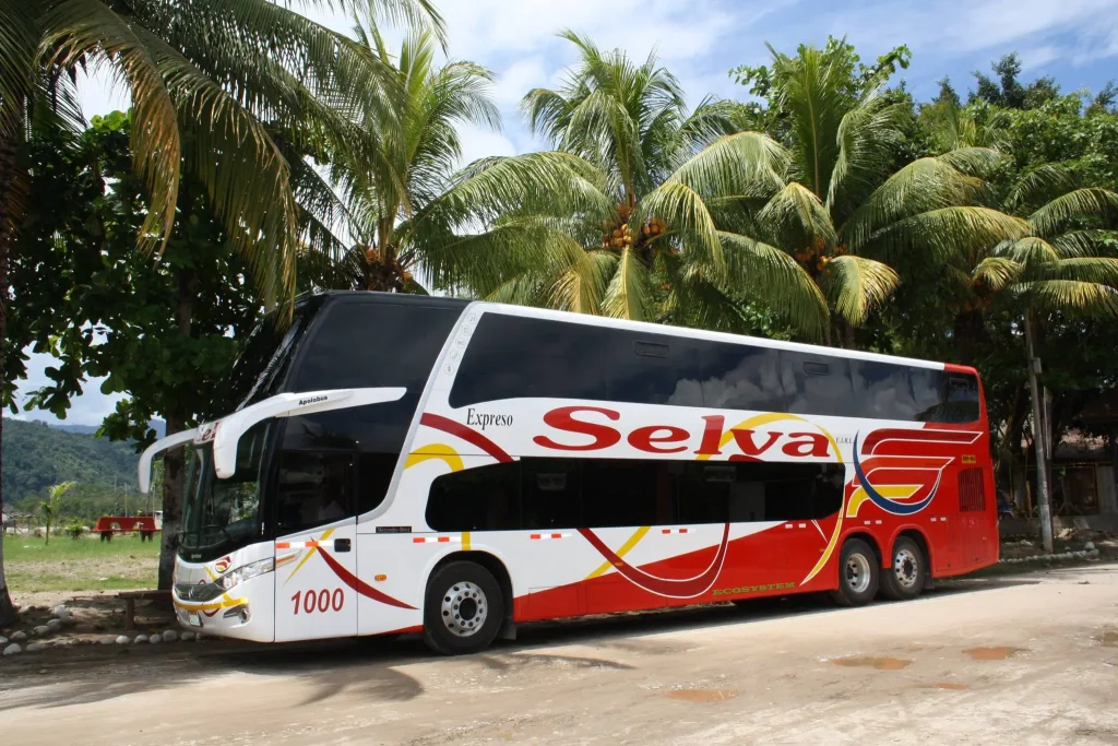 Bus de dos pisos de Expreso Selva estacionado entre palmeras en la Selva Central